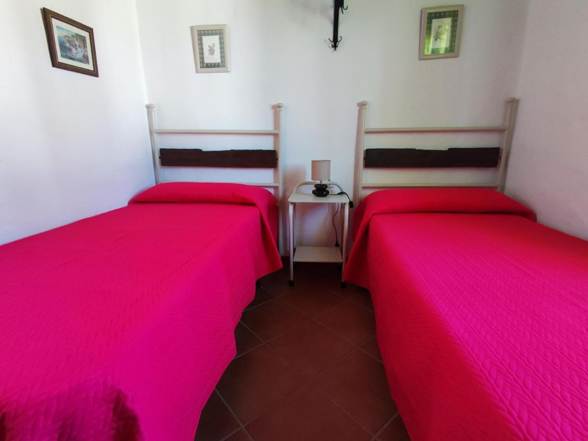 El Cortijo De Pepa Βίλα Conil De La Frontera Εξωτερικό φωτογραφία